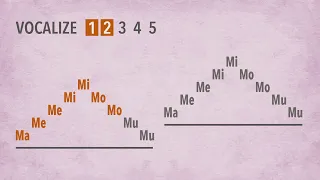 Vocal Exercises Improve the Voice - Exercise #3 - Vocal Warm-up, Vocal Technique - Singing Lesson