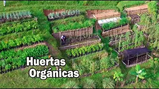 ORGANIC GARDEN CLEAN AGRICULTURE