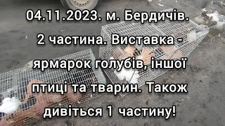 04.11.2023. м. Бердичів. 2 частина. Виставка - ярмарок голубів, іншої птиці та тварин. Див 1 частину