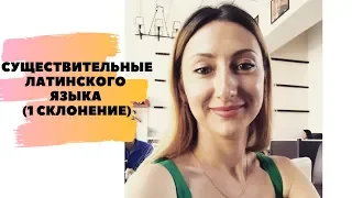 СУЩЕСТВИТЕЛЬНЫЕ ЛАТИНСКОГО ЯЗЫКА (1 СКЛОНЕНИЕ)