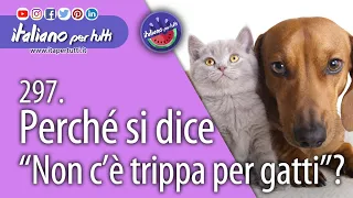 297. Espressioni idiomatiche con Cani e Gatti