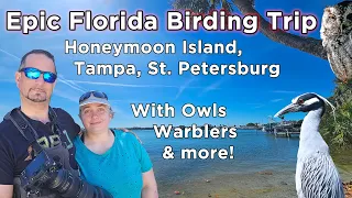 Epic Florida Birding Trip - Honeymoon Island, Tampa, St Petersburg with Owls, Warblers and more  Ep1