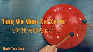Ting Wo Shuo Xie Xie Ni 《听我说谢谢你》 - 13 Tone Steel Tongue Drum / Tank Drum Cover