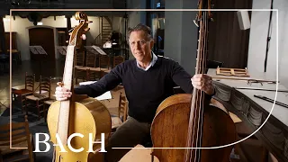 Franenberg on the violone | Netherlands Bach Society