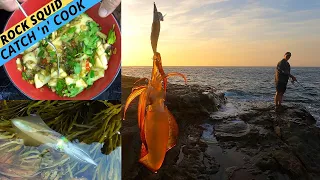 CATCHING SQUID FROM THE ROCKS — Plus A Simple, Delicious Squid Stir-Fry Recipe!