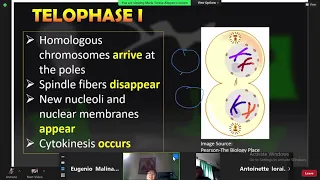 Biotech: Stages of Meiosis 10/19/2021 pt.2