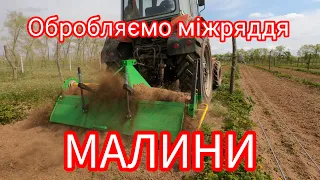 Догляд за малиною. Обробляємо міжряддя малини грунтофрезою Bomet та тракторами юмз 8240 і лтз 60