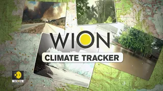 Polar bears face threat as Arctic ice melts | Snow storm hits US | WION Climate Tracker Promo