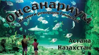 Океанариум Ailand Астана