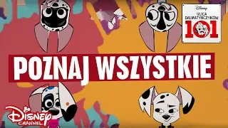 🎶 🏠 Ile psów w domu jest? | Ulica Dalmatyńczyków 101 | Disney Channel Polska