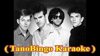 The Smiths - This Charming Man (John Peel) ( TanoBingo Karaoke )