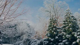 Loreena McKennitt. "Good King Wenceslas". 1995. (Song with Lyrics).