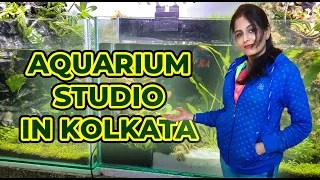 Best Aquarium Studio in kolkata for designing unique custom exotic fish tanks