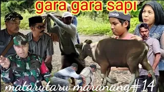 gara gara sapi matarutaru maranang#14