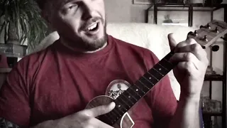 Ukulele -Frank Sinatra - thats life