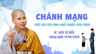 Chánh mạng - Phật dạy cách chọn nghề nghiệp chân chính - SC. Giác Lệ Hiếu