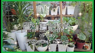 Vlog #65: First Garden Tour for the Month of May plus Plant Names (May 1, 2021)