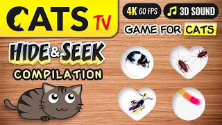 GAME FOR CATS - Hide & Seek Compilation 🙀📺🐭🪳 4K 🔴 60fps [CATS TV]