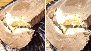 Maggots Found In Reese's Peanut Butter Cup