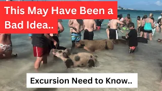 Excursion in Nassau Need to Know- Maybe a Bad Idea - Swimming with Pigs