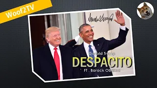 Donald Trump - 'Despacito' ft. Barack Obama