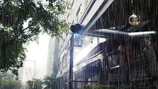 (4K) Walking in Heavy Rain | Streets & Park | Relaxing Rain Sounds | South Korea | 강폭우, 수면빗소리