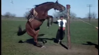 Gauchos domando, 1942