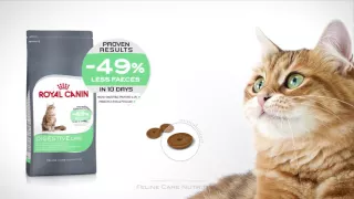 Feline Care Nutrition - Digestive Care