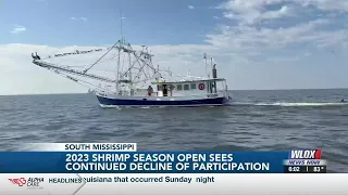 2023 Shrimp Season opens with declined participation