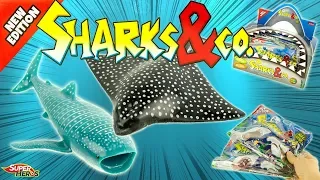 SHARKS & CO Nouvelle Edition Requins Boite Complète 16 Pochettes Altaya Jouets Toy Review Tiburon