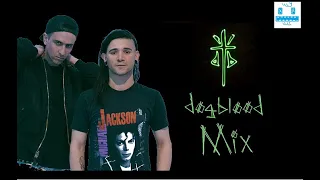 Dog Blood (Skrillex & Boys Noize) Mix 2019