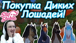 Покупка Новых Мастей Диких Лошадей! | Star Stable