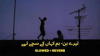 Hum kha Kay Sachay Thay - Tere bin [Slowed + Reverb] - Yashal Shahid