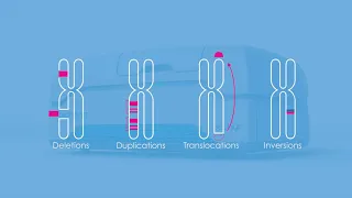 Bionano Workflow and Technology Overview