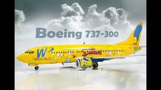 Boeing 737-300 Simpsons Skyline Models DACO 1/144 - Airliner Model