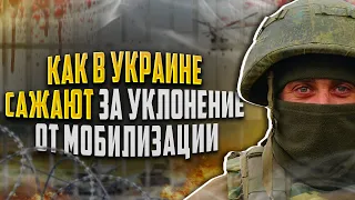 Сравним как в Украине лишают свободы за уклонение от мобилизации. Мобилизация в России