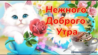 День с Улыбкой Начинай! ☕☀️💐💐💐😍 С Добрым Августовским Утром! 🤗