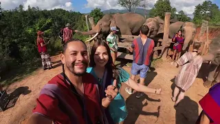 Come with us to visit an Elephant Sanctuary in Thailand!