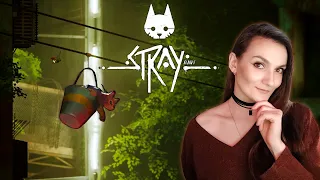 Stray ➤ Котострим 3 ➤ Финал