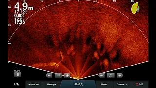 20201004 223517      LiveScope    Сазанчики 3