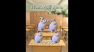 Мой день в реальной жизни #capcut #смешно #котики #ржакадослез