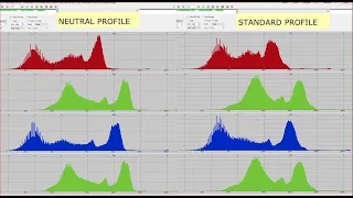 [TECH] ISO // Close sharpness // Profiles & histograms // ISO 32 // Nikon 70-300mm f/4.5-5.6E VR