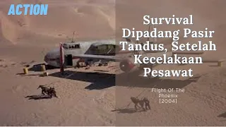 Pesawat Mendarat Darurat Di Padang Pasir. Survival 20 Hari Di Cuaca Extrim dan Badai Pasir.