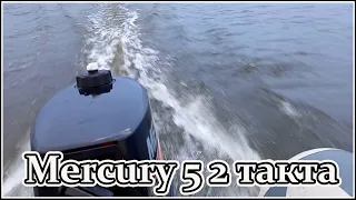 Mercury 5 M 2 такта, лодка Albatros AV 320 с килем, на воде, скорость на разных оборотах