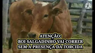 Boi salgadinho e Vaqueirama do Ceará vai Correr sem a presença da torcida nesse sábado dia 19/12