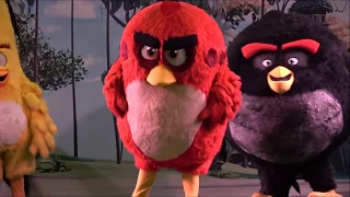 ANGRY BIRDS LIVE SHOW AT DUBAI FESTIVAL CITY #DubaiFestivalCity