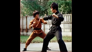 "Mastering the Art of Bruce Lee: Exploring His Martial Techniques"