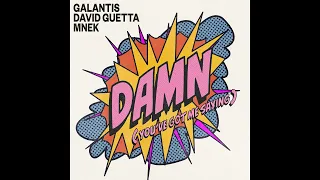 Galantis, David Guetta, MNEK - Damn (You’ve Got Me Saying) (Studio Acapella)