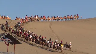 Silk Road 05 - Dunhuang experience camel caravan just like in ancient China's silk road era
