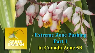 Extreme Zone Pushing Part 1 zone 5B Ontario, Canada in 4K